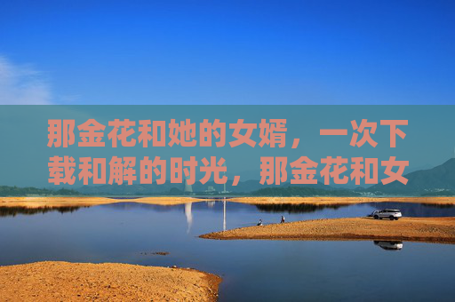 那金花和她的女婿，一次下载和解的时光，那金花和女婿的和解时光