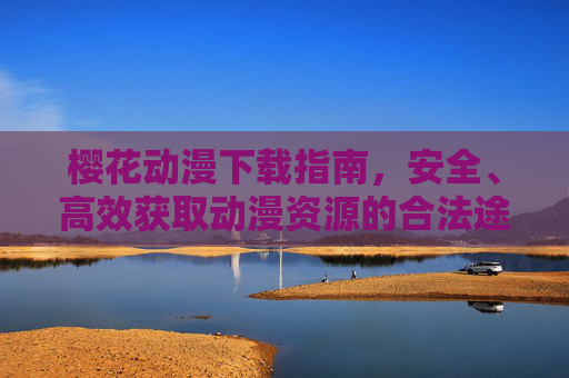 樱花动漫下载指南，安全、高效获取动漫资源的合法途径，樱花动漫安全高效合法下载指南