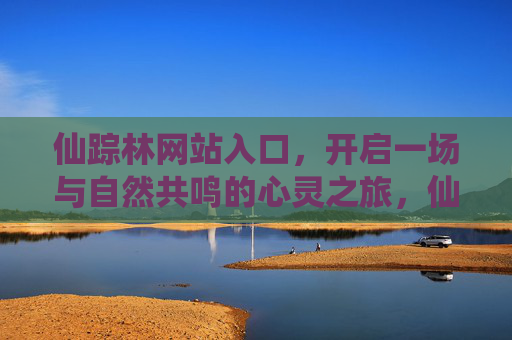 仙踪林网站入口,开启一场与自然共鸣的心灵之旅,仙踪林入口,开启与自然共鸣的心灵之旅 仙踪林网站入口,开启一场与自然共鸣的心灵之旅,仙踪林入口,开启与自然共鸣的心灵之旅