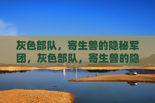 灰色部队,寄生兽的隐秘军团,灰色部队,寄生兽的隐秘军团 灰色部队,寄生兽的隐秘军团,灰色部队,寄生兽的隐秘军团