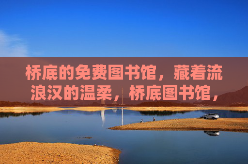 桥底的免费图书馆，藏着流浪汉的温柔，桥底图书馆，流浪汉的温柔