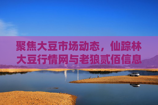 聚焦大豆市场动态，仙踪林大豆行情网与老狼贰佰信息网的协同价值，仙踪林大豆行情网与老狼贰佰信息网，大豆市场动态的协同价值