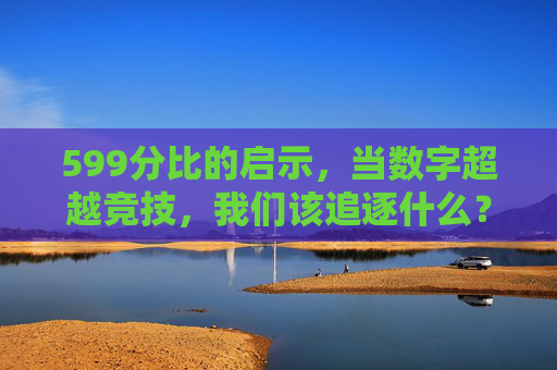 599分比的启示，当数字超越竞技，我们该追逐什么？599分比的启示，超越数字，我们该追寻什么？