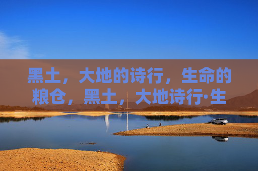 黑土，大地的诗行，生命的粮仓，黑土，大地诗行·生命粮仓