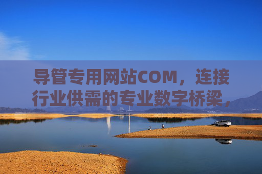 导管专用网站COM，连接行业供需的专业数字桥梁，导管行业供需连接专业数字桥梁
