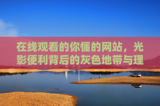 在线观看的你懂的网站，光影便利背后的灰色地带与理性选择，光影便利的灰色地带，在线观看的理性选择