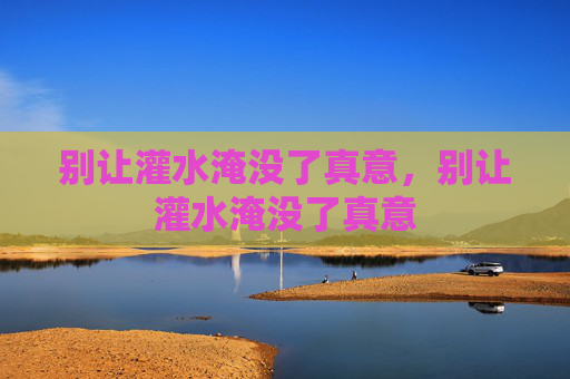 别让灌水淹没了真意，别让灌水淹没了真意