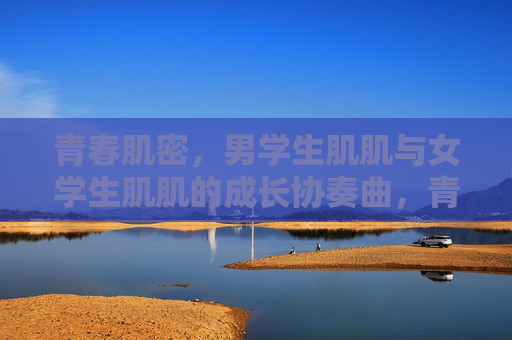 青春肌密，男学生肌肌与女学生肌肌的成长协奏曲，青春肌肌成长协奏曲