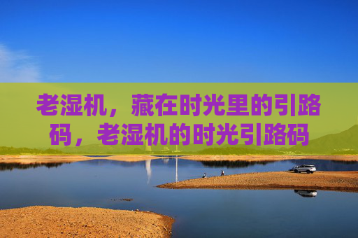 老湿机，藏在时光里的引路码，老湿机的时光引路码