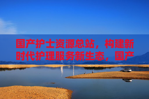 国产护士资源总站，构建新时代护理服务新生态，国产护士资源总站，构建新时代护理服务新生态