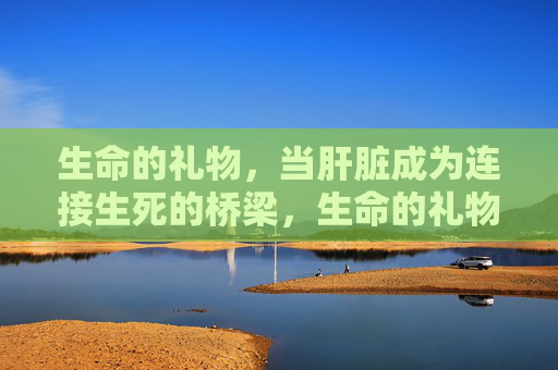 生命的礼物，当肝脏成为连接生死的桥梁，生命的礼物，肝脏架起生死之桥