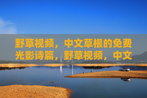 野草视频，中文草根的免费光影诗篇，野草视频，中文草根的光影诗篇