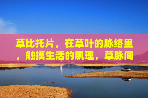 草比托片，在草叶的脉络里，触摸生活的肌理，草脉间，触生活肌理