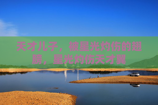 天才儿子，被星光灼伤的翅膀，星光灼伤天才翼