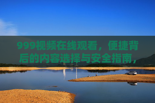 999视频在线观看，便捷背后的内容选择与安全指南，999视频在线观看，便捷内容选择与安全指南