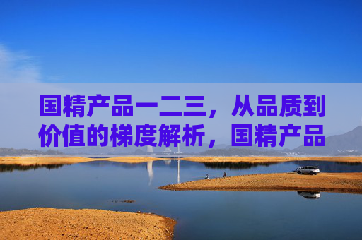 国精产品一二三，从品质到价值的梯度解析，国精产品梯度解析，品质到价值的三阶跃升