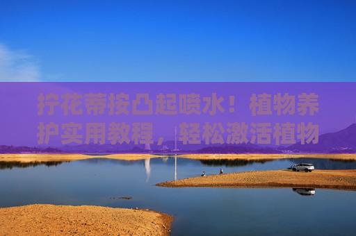 拧花蒂按凸起喷水!植物养护实用教程,轻松激活植物活力,浇水不愁,拧花蒂按凸起喷水,植物养护实用教程,激活活力浇水不愁 拧花蒂按凸起喷水!植物养护实用教程,轻松激活植物活力,浇水不愁,拧花蒂按凸起喷水,植物养护实用教程,激活活力浇水不愁
