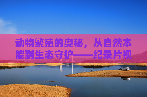 动物繁殖的奥秘,从自然本能到生态守护——纪录片视角下的生命启示,动物繁殖,从自然本能到生态守护的生命启示 动物繁殖的奥秘,从自然本能到生态守护——纪录片视角下的生命启示,动物繁殖,从自然本能到生态守护的生命启示