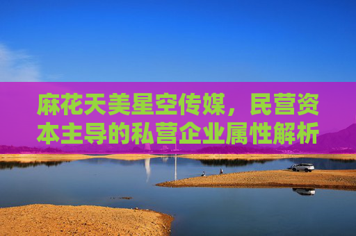 麻花天美星空传媒，民营资本主导的私营企业属性解析，麻花天美星空传媒，民营资本主导的私营企业属性解析