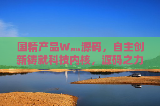 国精产品W灬源码，自主创新铸就科技内核，源码之力赋能产业新篇