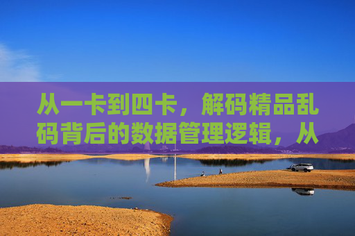从一卡到四卡，解码精品乱码背后的数据管理逻辑，从一卡到四卡，解码精品乱码的数据管理逻辑