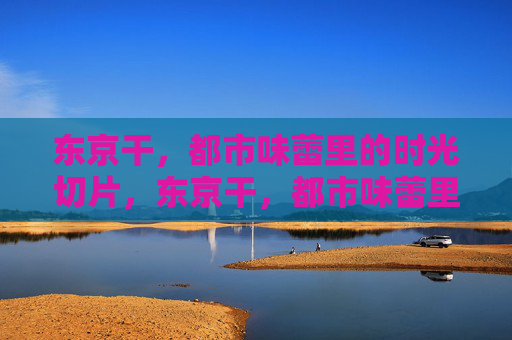 东京干，都市味蕾里的时光切片，东京干，都市味蕾里的时光切片