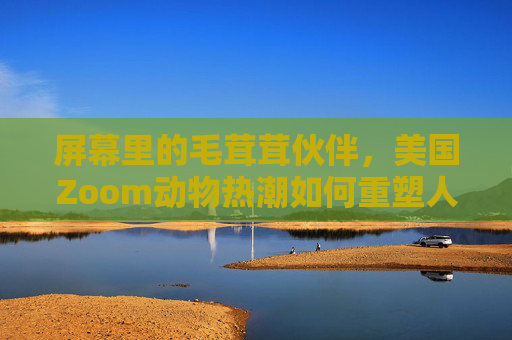 屏幕里的毛茸茸伙伴，美国Zoom动物热潮如何重塑人与动物的联结，屏幕毛茸茸伙伴，Zoom动物热潮重塑人与动物联结