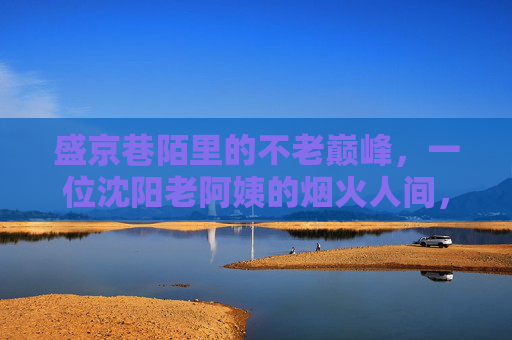 盛京巷陌里的不老巅峰，一位沈阳老阿姨的烟火人间，盛京巷陌不老峰，烟火人间沈阳姨