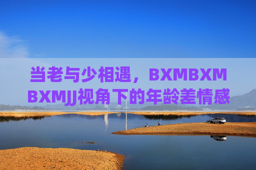 当老与少相遇，BXMBXMBXMJJ视角下的年龄差情感图鉴，BXMBXMBXMJJ视角下的老少相遇年龄差情感图鉴