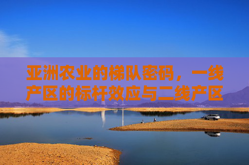 亚洲农业的梯队密码，一线产区的标杆效应与二线产区的破局之路