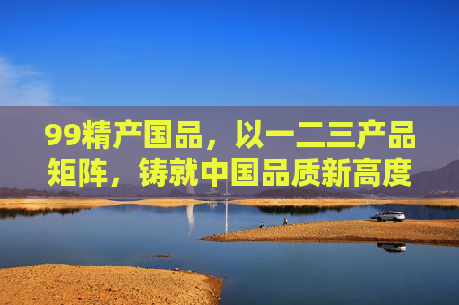 99精产国品，以一二三产品矩阵，铸就中国品质新高度，国品矩阵铸就中国品质新高度