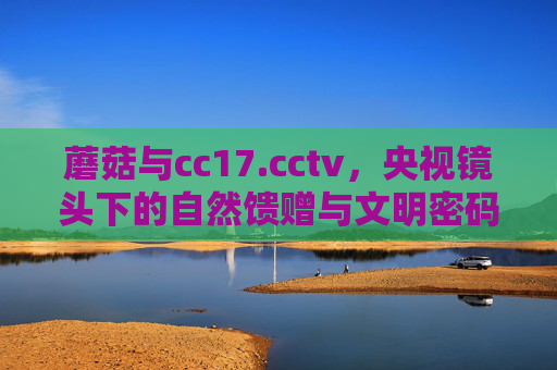 蘑菇与cc17.cctv，央视镜头下的自然馈赠与文明密码，央视镜头下的蘑菇，自然馈赠与文明密码