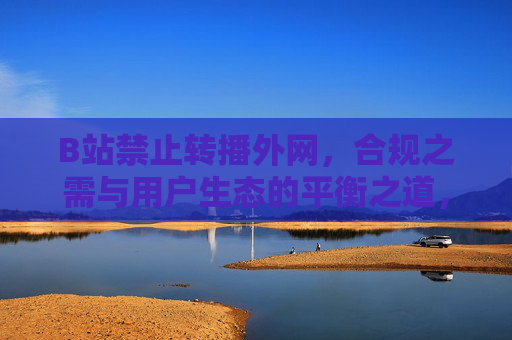B站禁止转播外网，合规之需与用户生态的平衡之道，B站禁止转播外网，合规之需与用户生态的平衡之道