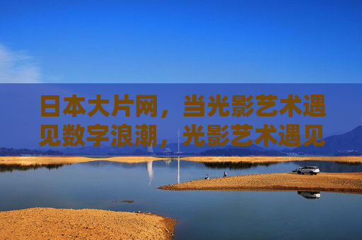 日本大片网，当光影艺术遇见数字浪潮，光影艺术遇见数字浪潮，日本大片网