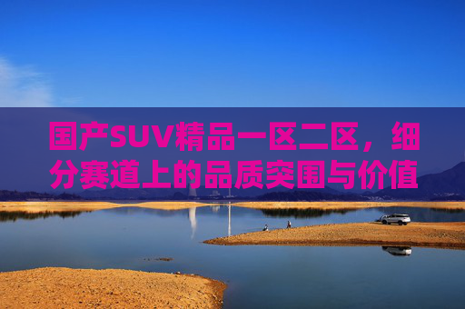 国产SUV精品一区二区，细分赛道上的品质突围与价值重构，国产SUV精品赛道，品质突围与价值重构