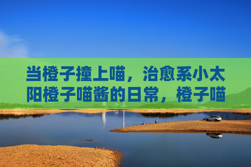 当橙子撞上喵，治愈系小太阳橙子喵酱的日常，橙子喵酱，治愈系小太阳的日常