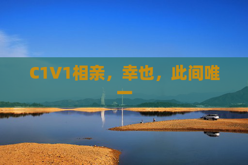 C1V1相亲，幸也，此间唯一