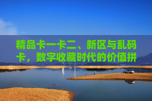 精品卡一卡二、新区与乱码卡，数字收藏时代的价值拼图与隐忧，数字收藏时代，卡类价值拼图与隐忧