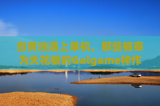 当黄油遇上单机，那些被奉为天花板的Galgame神作，黄油遇上单机，天花板Galgame神作