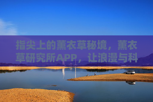 指尖上的薰衣草秘境，薰衣草研究所APP，让浪漫与科学共生长，指尖秘境，薰衣草APP的浪漫科学共生长