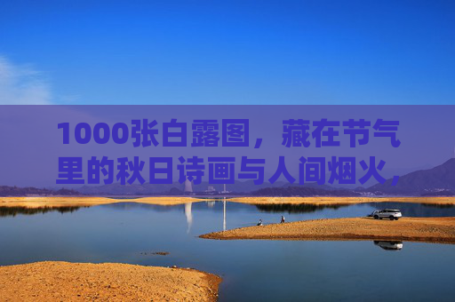 1000张白露图，藏在节气里的秋日诗画与人间烟火，白露节气图，秋日诗画与烟火人间