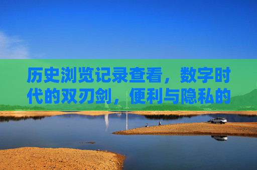 历史浏览记录查看，数字时代的双刃剑，便利与隐私的平衡术，历史浏览记录，数字时代便利与隐私的平衡术