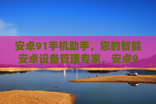 安卓91手机助手，您的智能安卓设备管理专家，安卓91手机助手，智能安卓设备管理专家