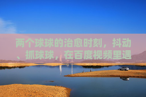 两个球球的治愈时刻，抖动、抓球球，在百度视频里遇见简单的快乐，两个球球的治愈时刻，百度视频里抖动抓球的简单快乐