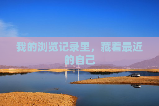 我的浏览记录里，藏着最近的自己