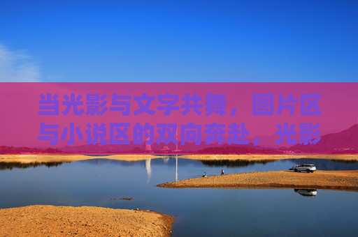 当光影与文字共舞，图片区与小说区的双向奔赴，光影文字共舞，图小说区双向奔赴