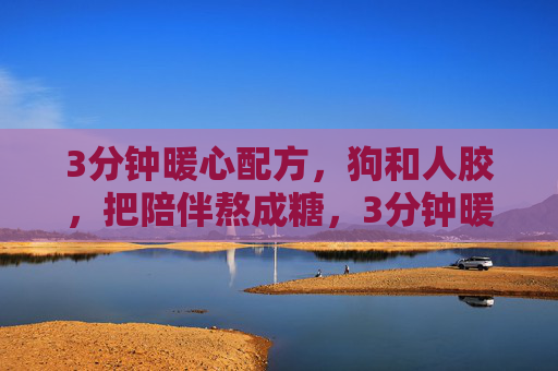 3分钟暖心配方，狗和人胶，把陪伴熬成糖，3分钟暖心配方，把狗的陪伴熬成糖