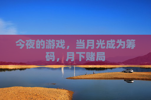 今夜的游戏，当月光成为筹码，月下赌局