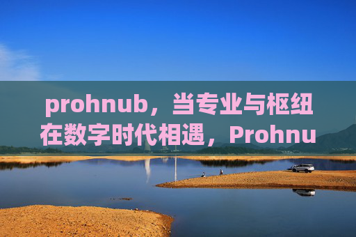 prohnub，当专业与枢纽在数字时代相遇，Prohnub，专业与枢纽的数字时代交汇