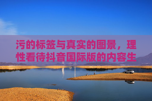 污的标签与真实的图景，理性看待抖音国际版的内容生态，理性看待抖音国际版，污标签与真实内容生态的辩证